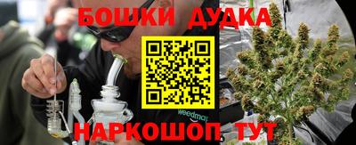 крисы Тулун
