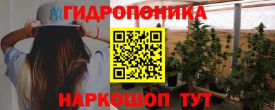 крисы Тулун