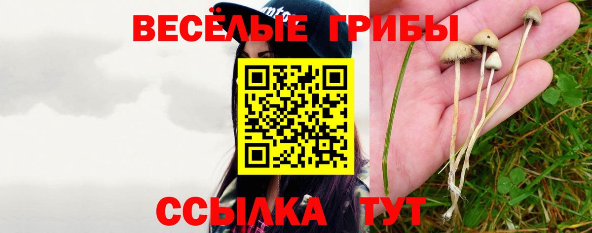 Галлюциногенные грибы Magic Shrooms Муравленко